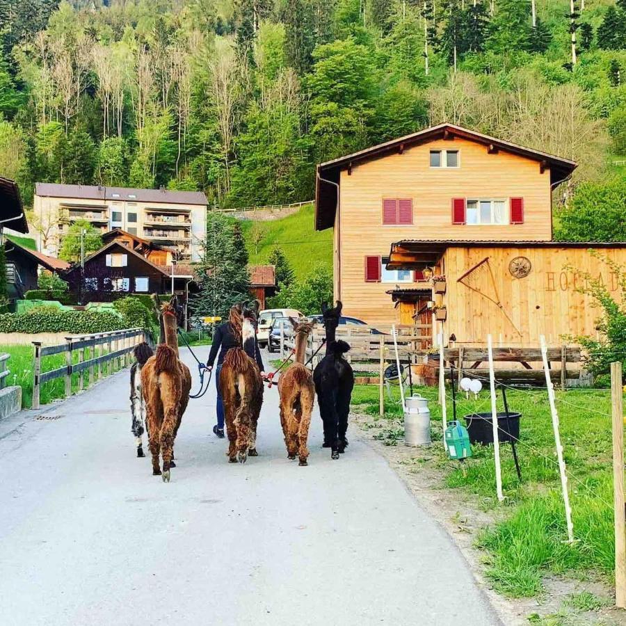 Jurte Beim Lama- & Alpakahof Triesenberg Hotell Exteriör bild