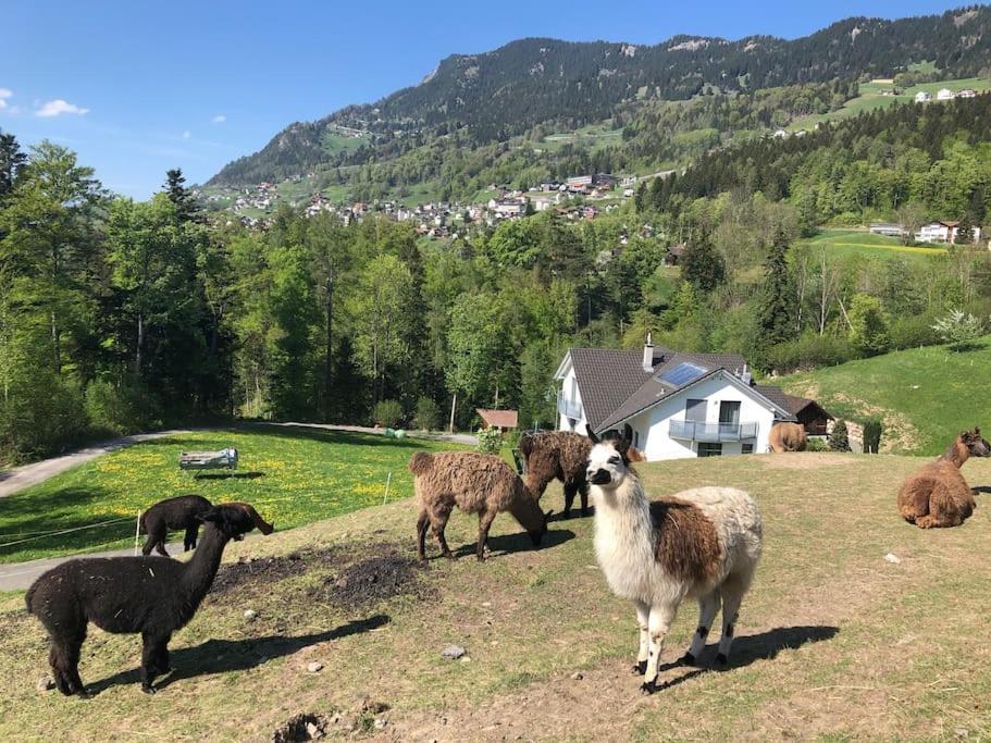 Jurte Beim Lama- & Alpakahof Triesenberg Hotell Exteriör bild